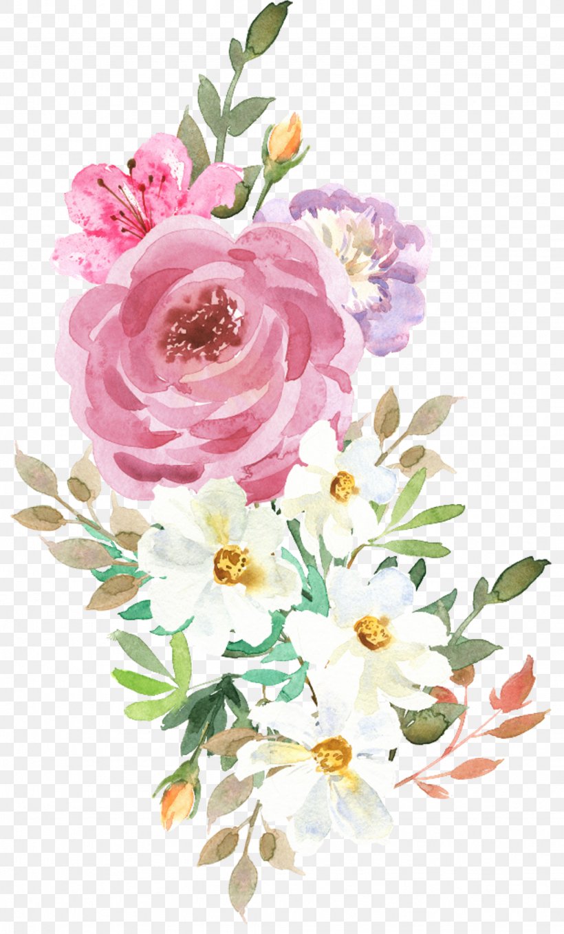 Garden Roses Flower Illustration Vector Graphics IStock, PNG, 1024x1697px, Garden Roses, Botany, Bouquet, Camellia, Chinese Peony Download Free