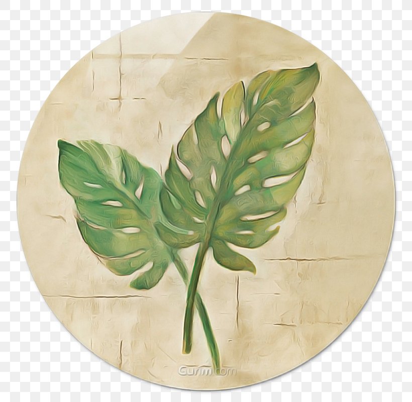 Green Leaf Background, PNG, 800x800px, Leaf, Anthurium, Canvas, Dishware, East Urban Home Download Free