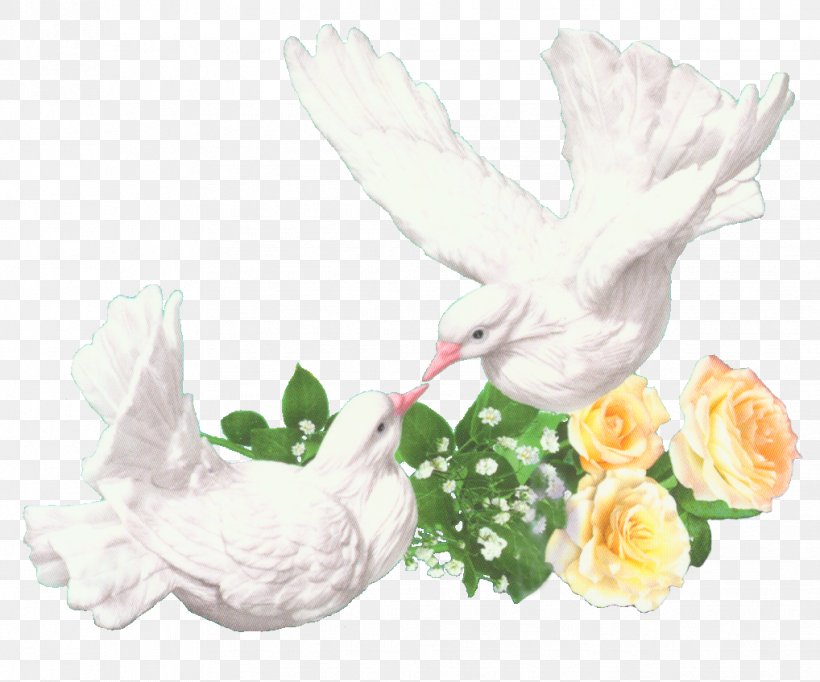 Rock Dove Bird Wedding Homing Pigeon Clip Art, PNG, 1018x847px, Rock Dove, Anniversary, Bird, Cut Flowers, Floral Design Download Free