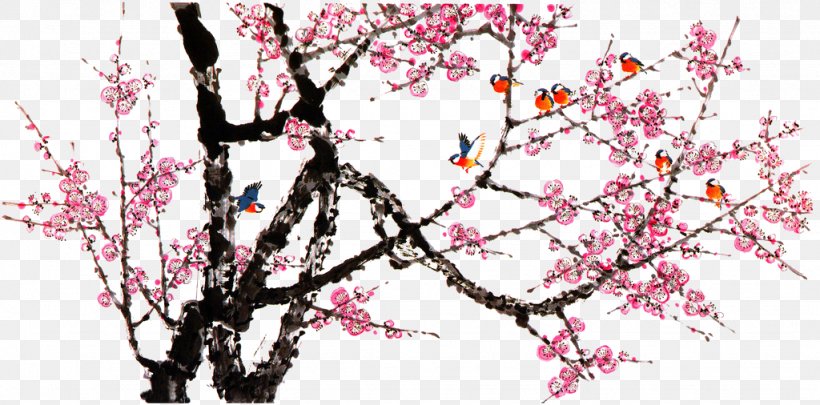 The Magpie Eurasian Magpie Plum Blossom, PNG, 1024x506px, Magpie, Blossom, Branch, Cherry Blossom, Designer Download Free