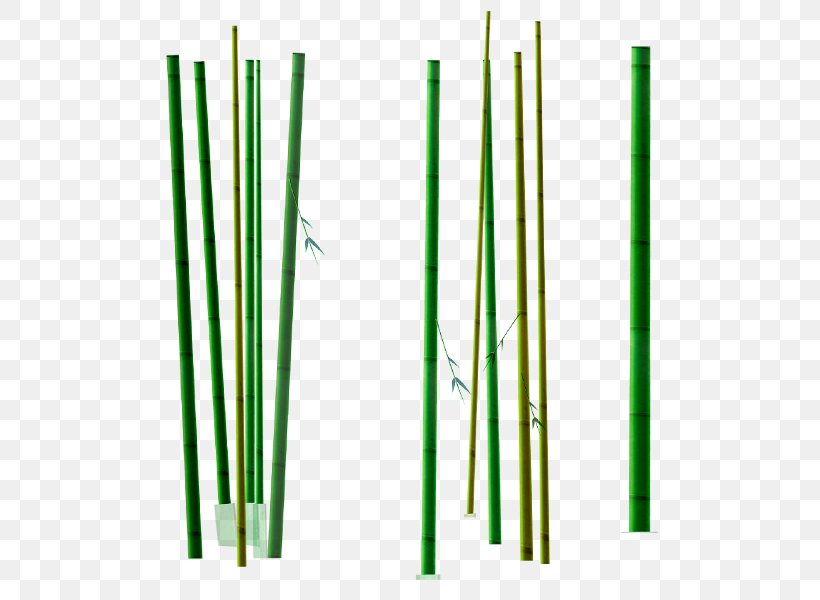 Bamboo, PNG, 600x600px, Bamboo, Animation, Designer, Google Images, Grass Download Free