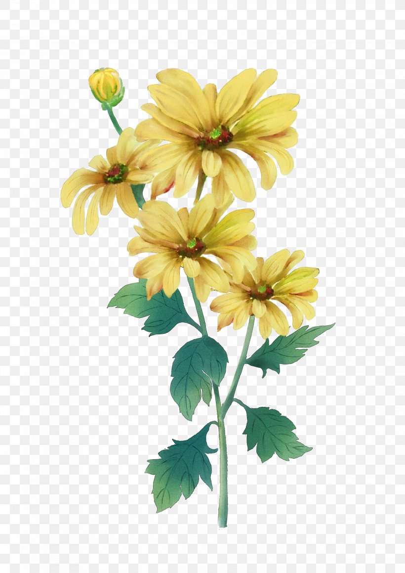 Double Ninth Festival Chrysanthemum Watercolor Painting Yellow, PNG, 2480x3508px, Double Ninth Festival, Chrysanthemum, Chrysanths, Cut Flowers, Dahlia Download Free
