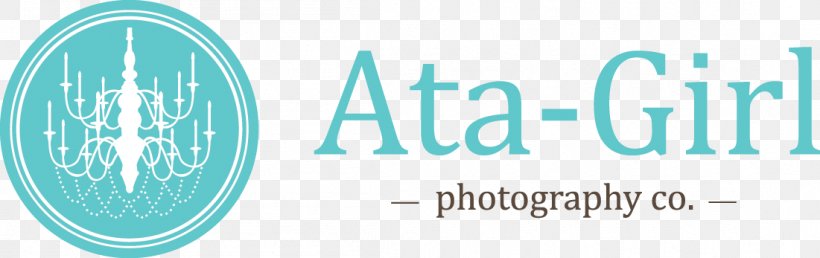 Photographer Logo Photography EClinicalWorks, PNG, 1101x347px, Photographer, Aqua, Blue, Brand, Logo Download Free
