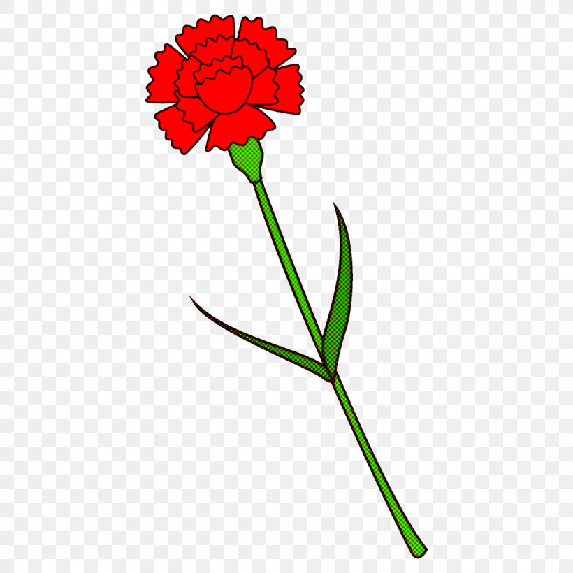 Carnation Flower, PNG, 1200x1200px, Carnation, Cut Flowers, Flower, Pedicel, Pink Family Download Free