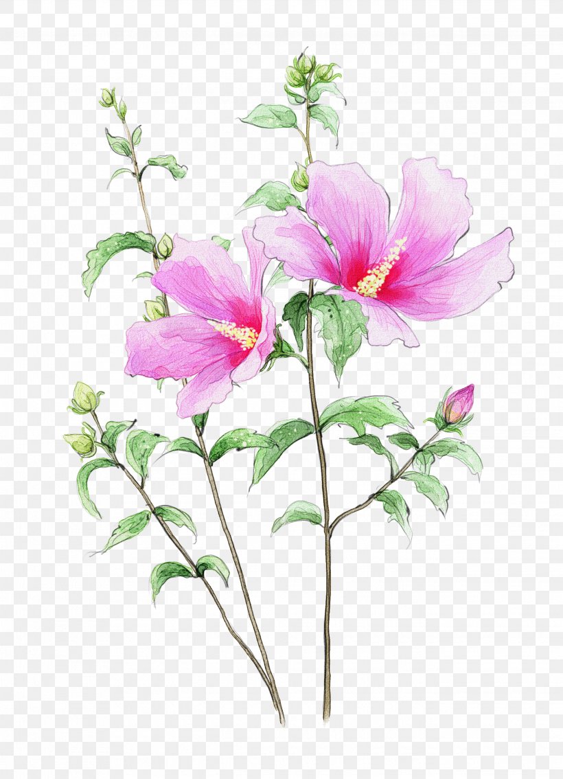 Flower Clip Art, PNG, 2645x3661px, Flower, Annual Plant, Artificial Flower, Blossom, Branch Download Free