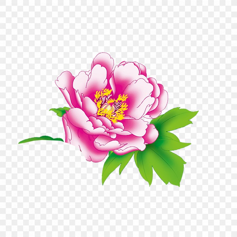 Moutan Peony Download Floral Design, PNG, 2000x2000px, Moutan Peony, Cut Flowers, Floral Design, Floristry, Flower Download Free