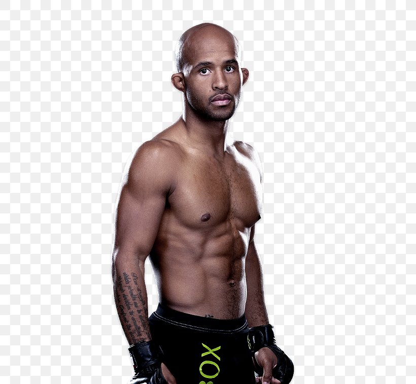 Demetrious Johnson UFC 174: Johnson Vs. Bagautinov Mixed Martial Arts Boxing, PNG, 504x756px, Watercolor, Cartoon, Flower, Frame, Heart Download Free