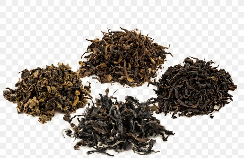 Dianhong Nilgiri Tea Oolong Green Tea, PNG, 920x596px, Dianhong, Assam Tea, Bai Mudan, Bancha, Biluochun Download Free
