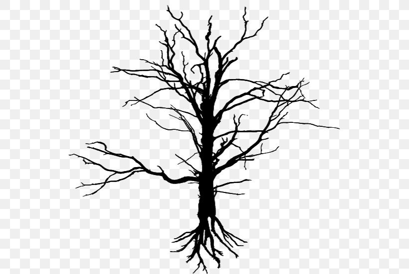 Drawing Tree Silhouette Leaf, PNG, 545x551px, Drawing, Art, Black And White, Branch, Deciduous Download Free