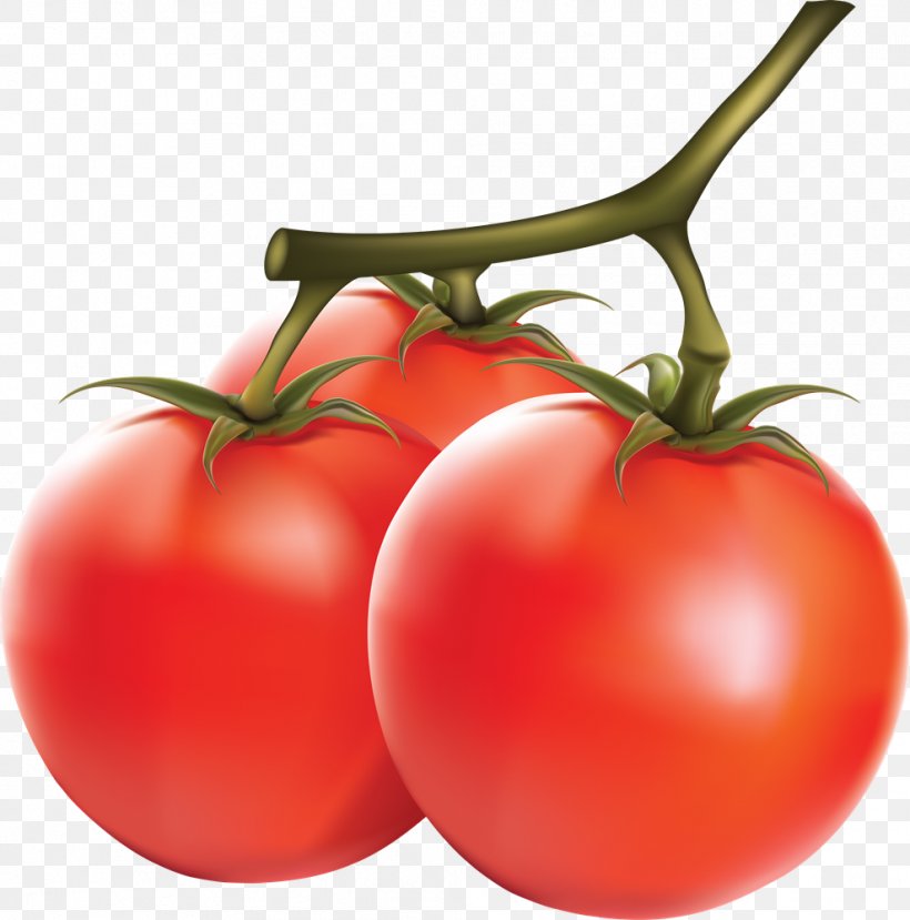 Tomato Vegetable Clip Art, PNG, 989x1000px, Tomato, Apple, Bush Tomato, Diet Food, Food Download Free