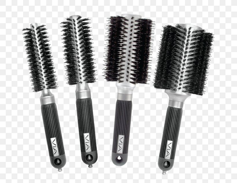 Wild Boar Brush Tool Hair Nylon, PNG, 750x633px, Wild Boar, Brush, Hair, Hardware, Ion Download Free