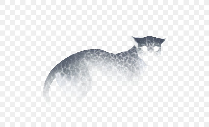 Cat Dog Whiskers Mammal Carnivora, PNG, 640x500px, Cat, Animal, Canidae, Carnivora, Carnivoran Download Free