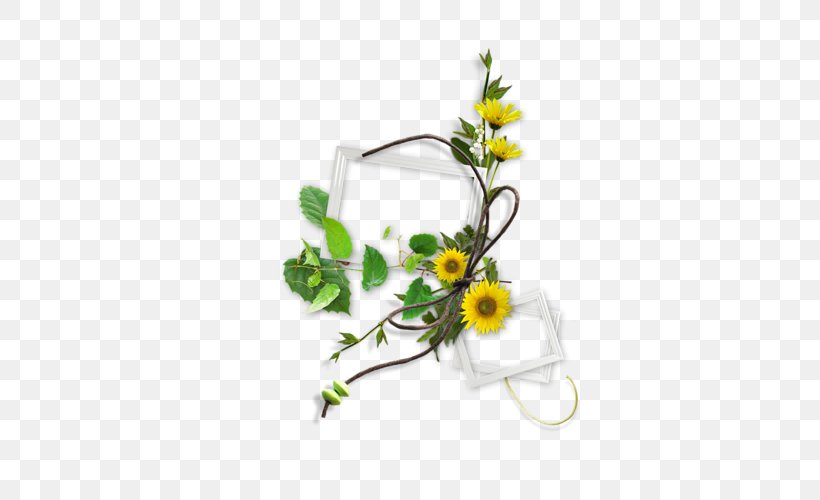 German Chamomile Guestbook Clip Art, PNG, 500x500px, Chamomile, Artificial Flower, Cut Flowers, Daisy, Daisy Family Download Free