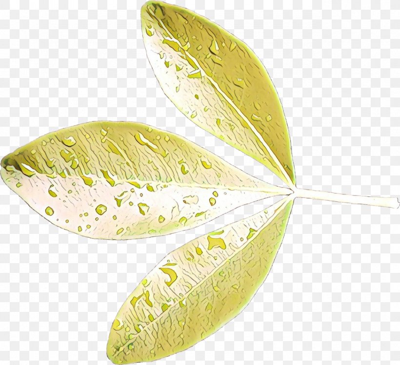 Leaf, PNG, 1279x1169px, Leaf, Anthurium, Plant, Yellow Download Free