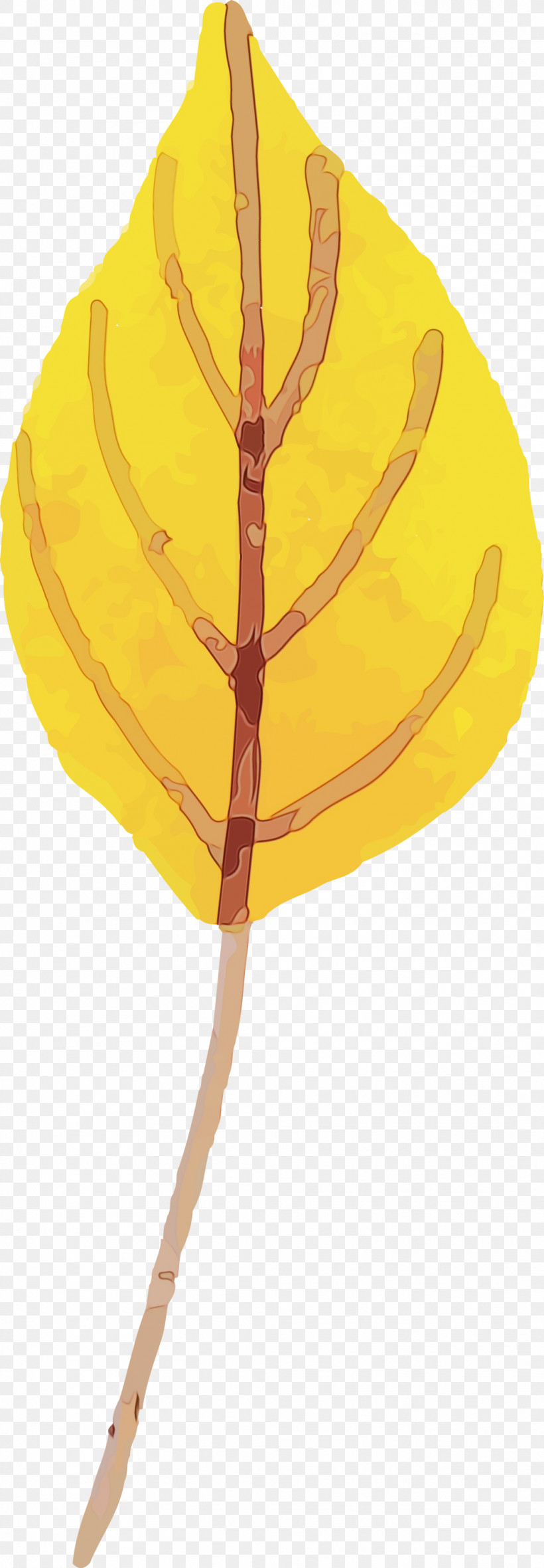 Leaf Yellow Tree Line Biology, PNG, 1042x3000px, Autumn Leaf, Biology, Colorful Leaf, Leaf, Line Download Free
