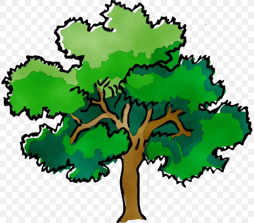 Oak Tree Leaf, PNG, 812x720px, Watercolor, Arbor Day, Green, Leaf ...
