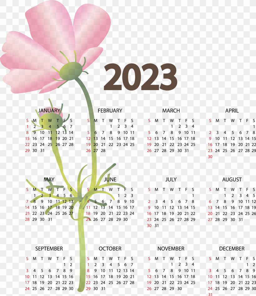 2023 Calendar 2022 2021 2020, PNG, 4818x5559px, Calendar, Calendar Year, June, Week Download Free