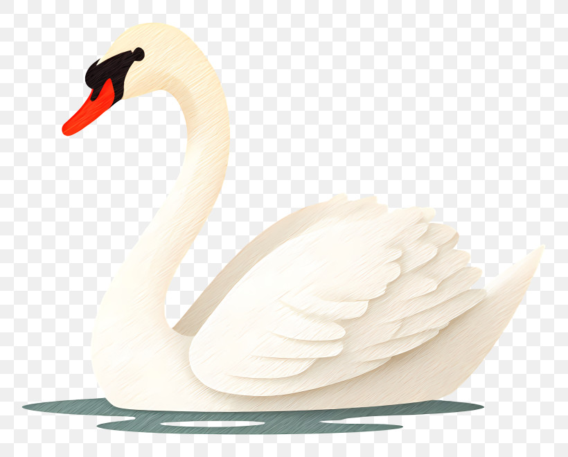 Elegant White Swan - Graceful Swan On Water PNG