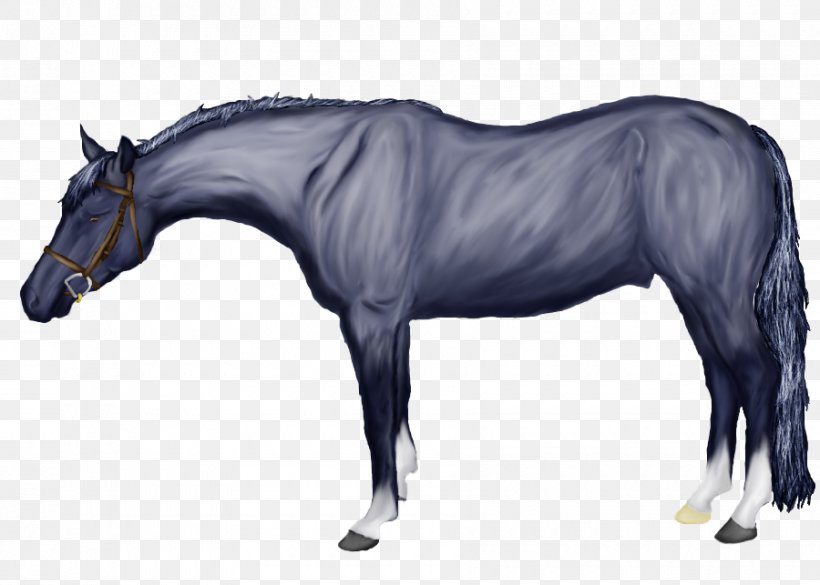 Mustang Mare Stallion Rein Horse Harnesses, PNG, 900x643px, Mustang, Animal Figure, Bridle, Colts Manufacturing Company, Drawing Download Free