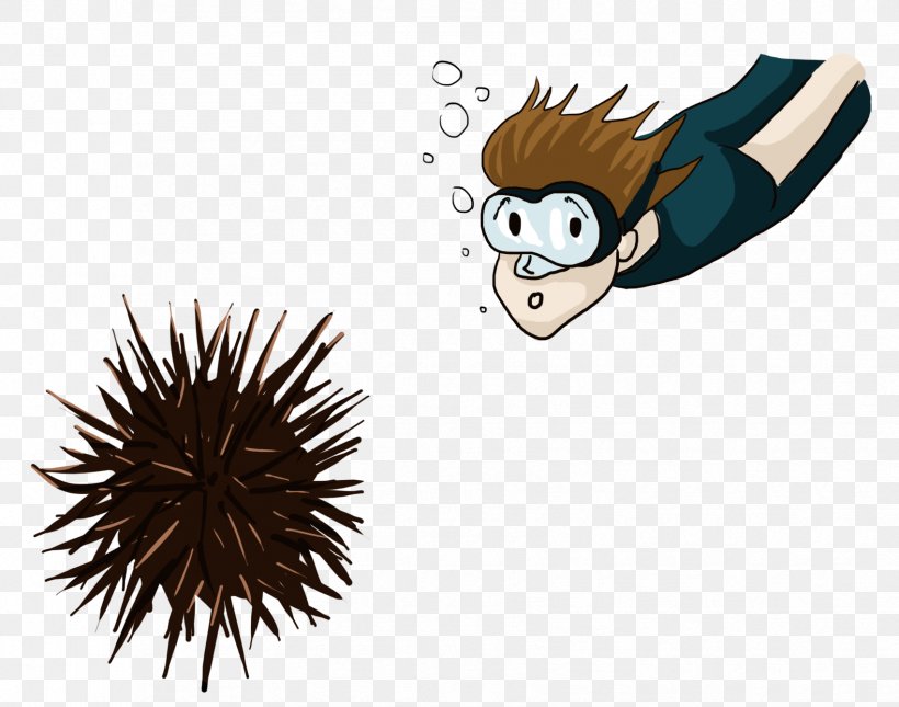 On The Training Of Shooters Knowledge Sea Urchin Drawing, PNG, 1701x1340px, Knowledge, Avril Lavigne, Cartoon, Drawing, Geometry Download Free