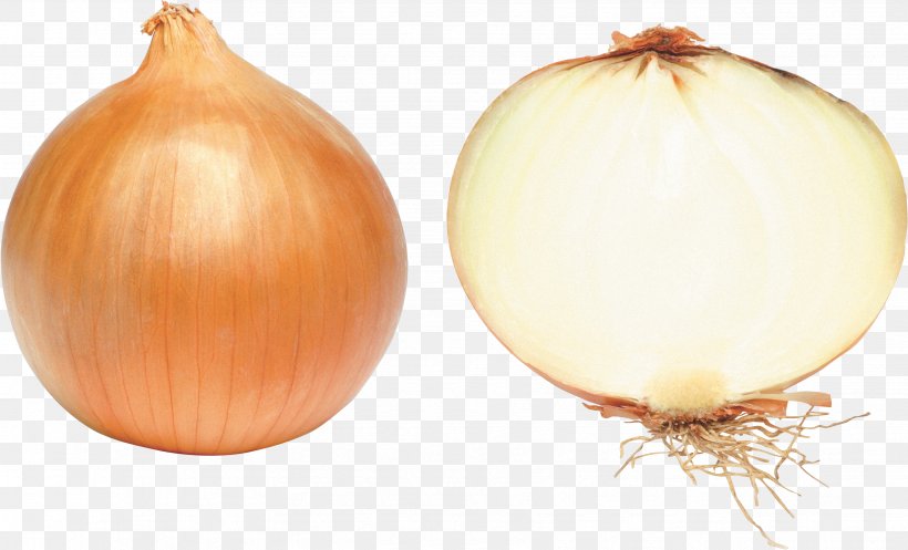 Onion Vegetable Clip Art, PNG, 3422x2076px, Onion, Calabaza, Food, Image File Formats, Ingredient Download Free