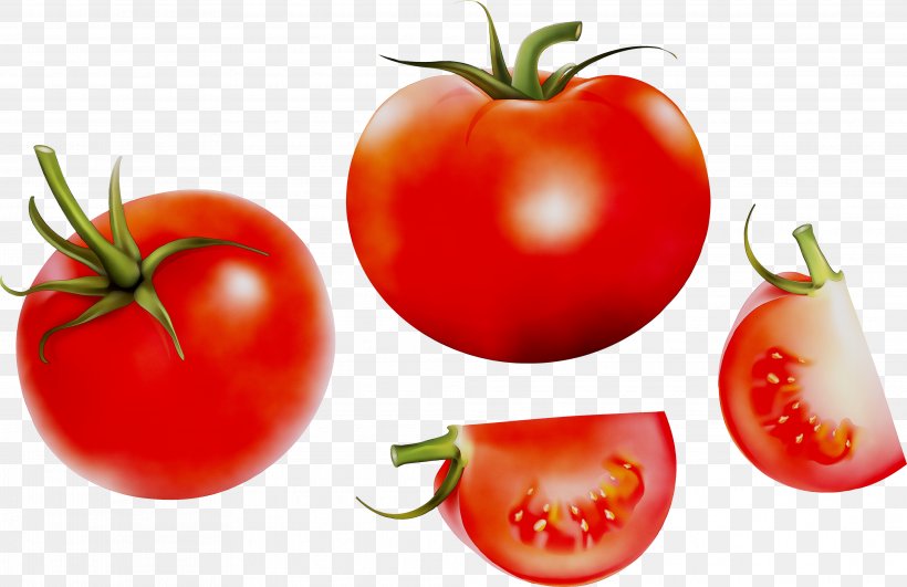 Plum Tomato Food Vegetarian Cuisine Olive, PNG, 3951x2561px, Plum Tomato, Bush Tomato, Cherry Tomatoes, Diet Food, Fermentation In Food Processing Download Free