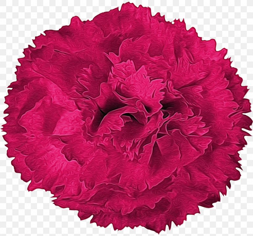 Carnation Garden Roses Cut Flowers Cutting, PNG, 1128x1056px, Carnation, Circular Saw, Cut Flowers, Cutting, Dianthus Download Free