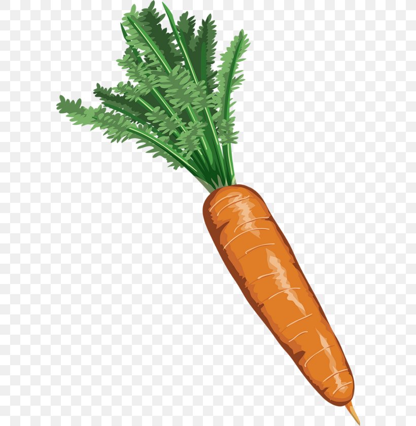 Carrot Vegetable Drawing, PNG, 600x840px, Carrot, Animated Cartoon, Birthday Cake, Cake, Candy Download Free