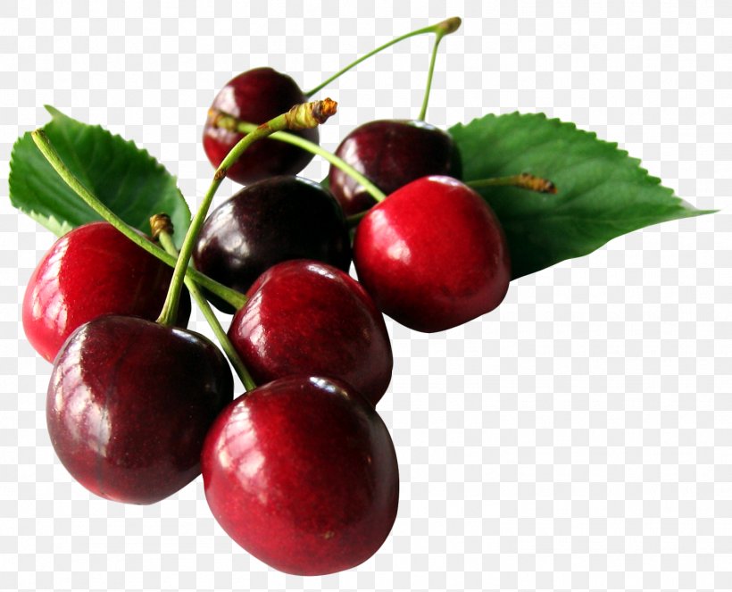 Cherry Fruit, PNG, 1509x1221px, Cherry, Auglis, Berry, Cerasus, Cranberry Download Free