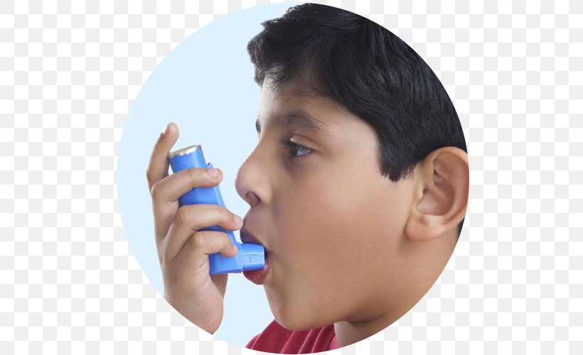 Metered-dose Inhaler Asthma Pharmaceutical Drug Allergy, PNG, 500x500px, Inhaler, Albuterol, Allergic Asthma, Allergy, Asthma Download Free
