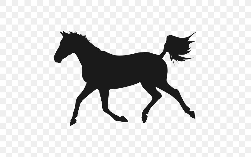 Shagya Arabian Mare Equestrian, PNG, 512x512px, Shagya Arabian, Black, Black And White, Bridle, Colt Download Free