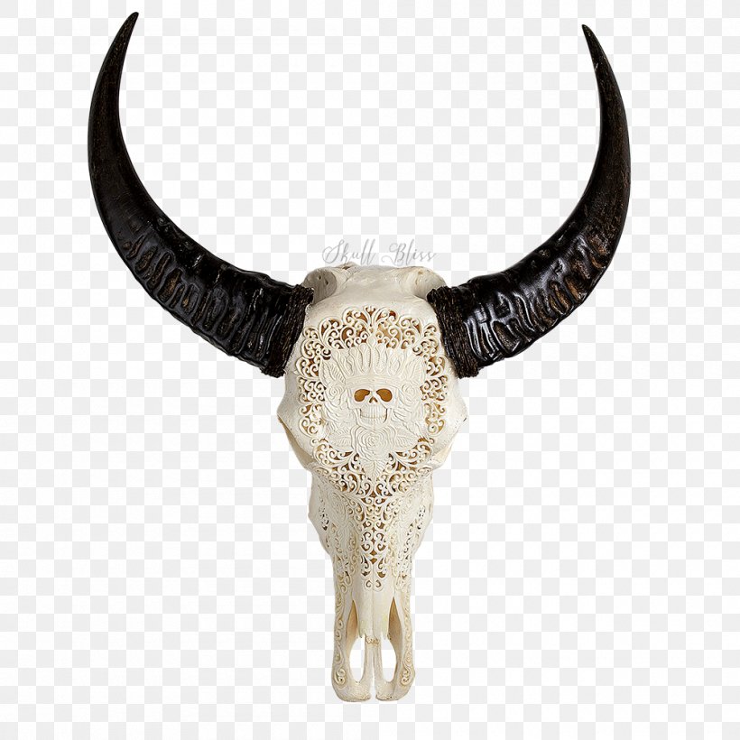 Water Buffalo Horn Bubalina Skull Cattle, PNG, 1000x1000px, Water Buffalo, African Buffalo, Amazoncom, Antler, Bubalina Download Free