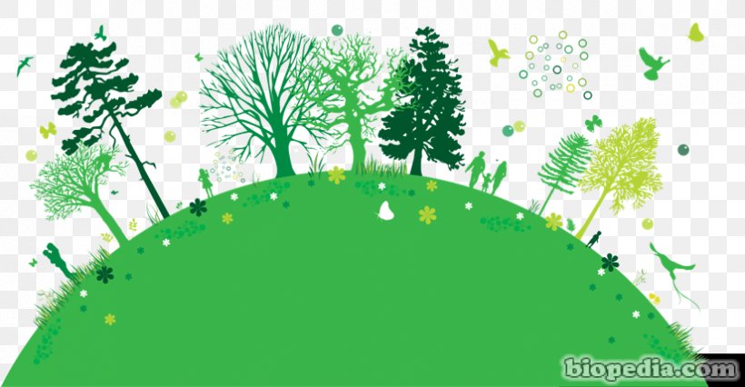 Arbor Day Foundation Tree Planting What Tree Is That?, PNG, 825x429px, Arbor Day, Arbor Day Foundation, Bark, Branch, Conifer Download Free