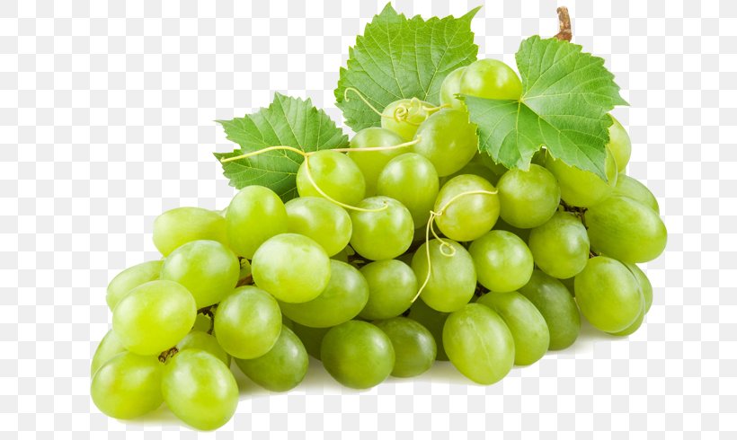 Common Grape Vine Wine Juice Concord Grape, PNG, 685x490px, Common Grape Vine, Apple, Concord Grape, Food, Fruit Download Free
