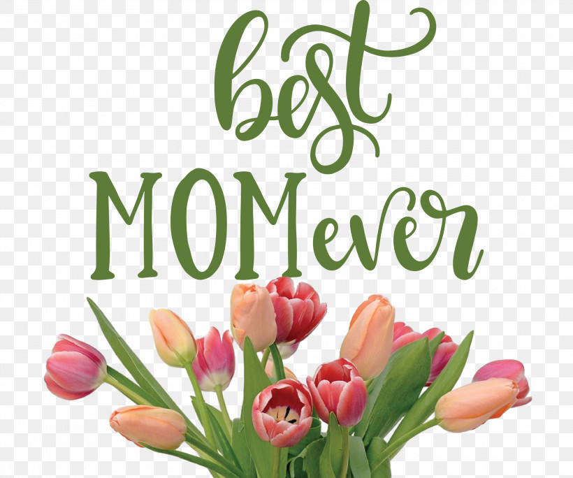 Mothers Day Best Mom Ever Mothers Day Quote, PNG, 3000x2505px, Mothers Day, Best Mom Ever, Color, Cut Flowers, Floral Design Download Free