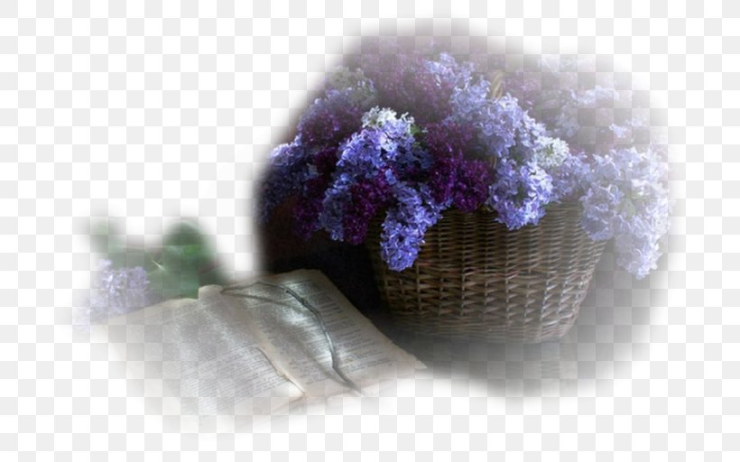 Wool, PNG, 732x512px, Wool, Flower, Lavender, Lilac, Purple Download Free