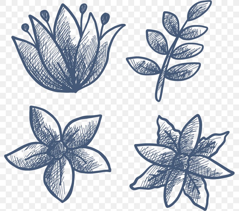 Drawing Leaf Flower Petal, PNG, 791x727px, Drawing, Black And White, Flora, Flower, Leaf Download Free