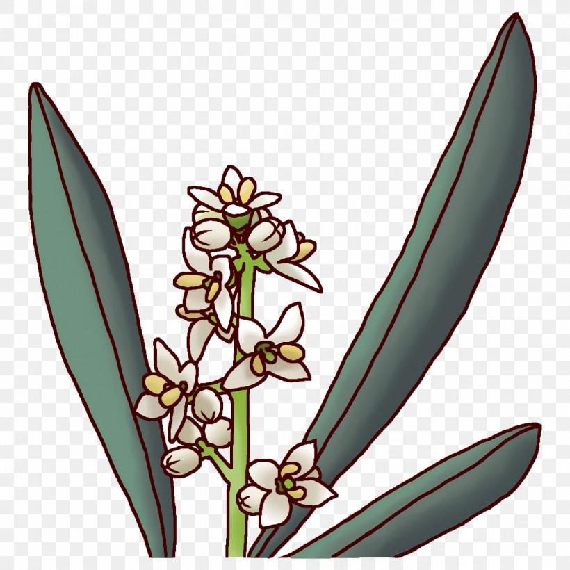 Flower Plants Science Biology, PNG, 1400x1400px, Flower, Biology, Plants, Science Download Free