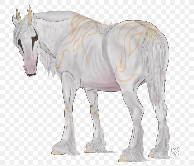 Mane Foal Mustang Stallion Mare, PNG, 800x704px, Mane, Animal Figure, Colt, Donkey, Fauna Download Free