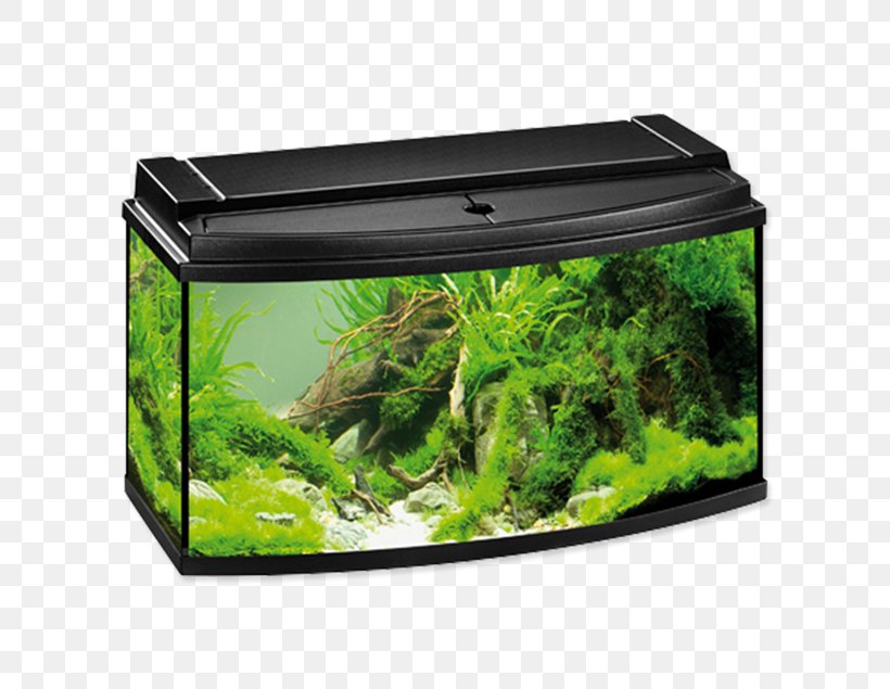 Aquarium Filters Eheim Fishkeeping, PNG, 635x635px, Aquarium, Acuario Aberiak, Air Pump, Aquarium Barcelona, Aquarium Filters Download Free