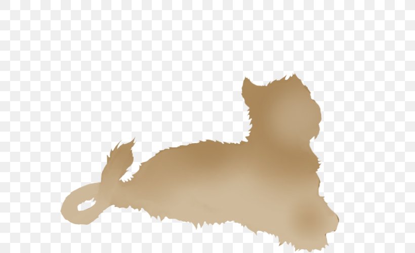 Cat Lion Dog Desktop Wallpaper Snout, PNG, 640x500px, Cat, Badger, Carnivoran, Cat Like Mammal, Dog Download Free