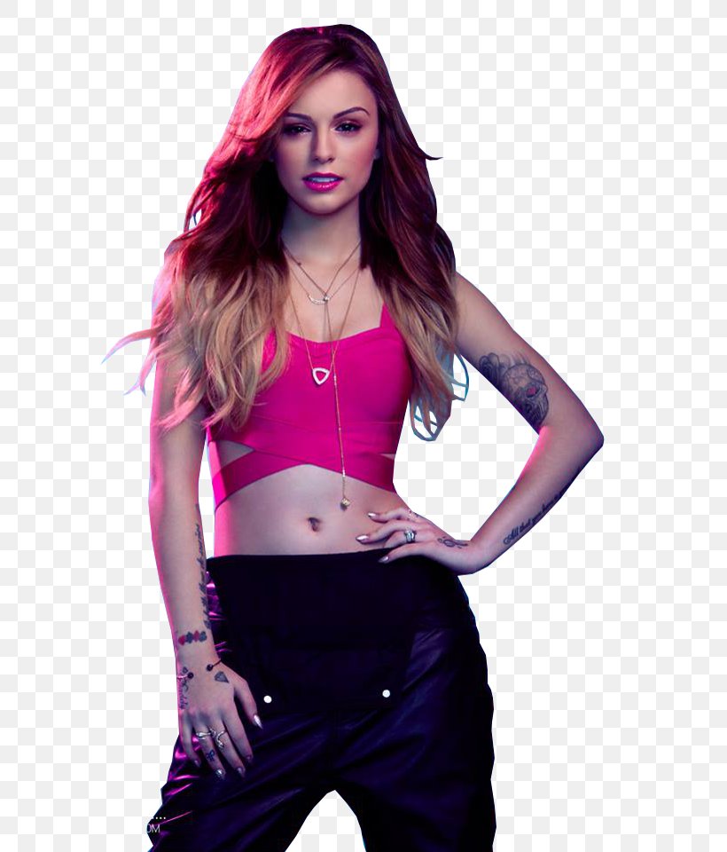 Cher Lloyd The X Factor Hard Knock Life (Ghetto Anthem) Song, PNG, 737x960px, Watercolor, Cartoon, Flower, Frame, Heart Download Free
