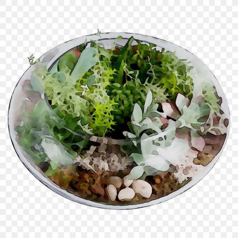 Herb, PNG, 1044x1044px, Herb, Bowl, Dishware, Flower, Flowerpot Download Free