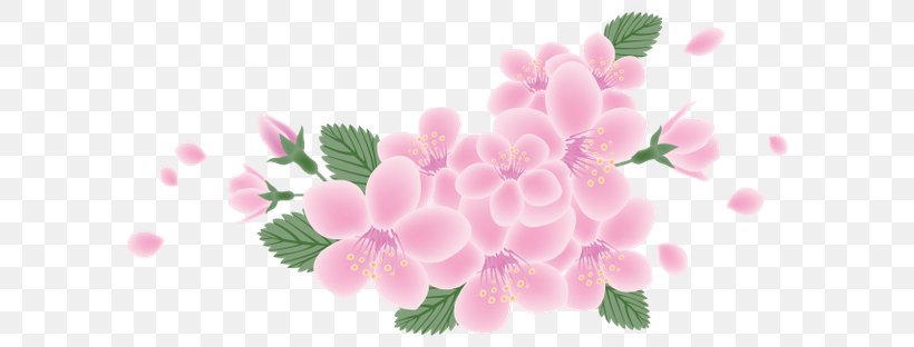 Floral Design Flower Petal IFolder Cerasus, PNG, 600x312px, Floral Design, Apples, Blossom, Branch, Cerasus Download Free