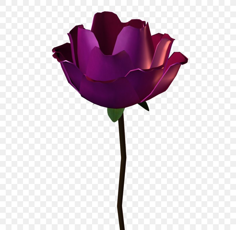 Garden Roses Pink Petal, PNG, 514x800px, Garden Roses, Cut Flowers, Depositfiles, Flower, Flowering Plant Download Free