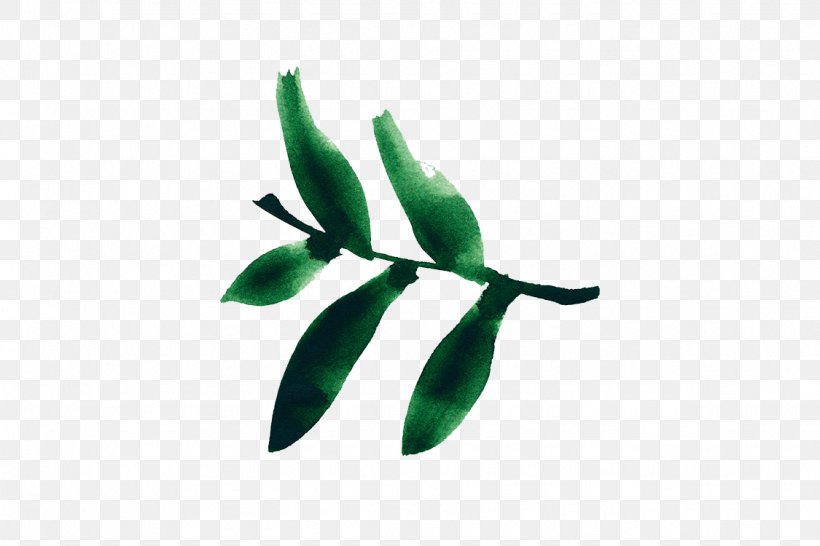 Leaf Plant Stem, PNG, 1125x750px, Leaf, Branch, Plant, Plant Stem Download Free