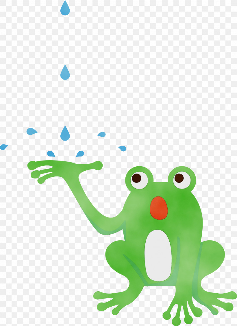 Tree Frog Cartoon Frogs Toad Green, PNG, 2182x3000px, Frog, Animal Figurine, Beak, Cartoon, Frogs Download Free