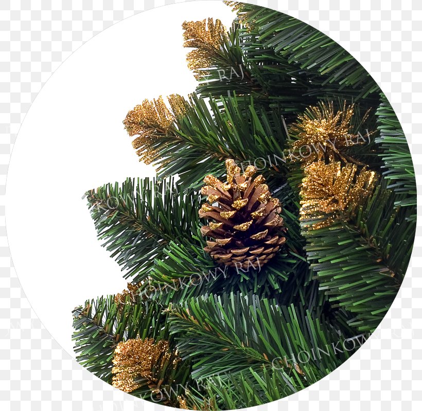 Fir Spruce Christmas Ornament Pine, PNG, 800x800px, Fir, Christmas, Christmas Ornament, Conifer, Evergreen Download Free
