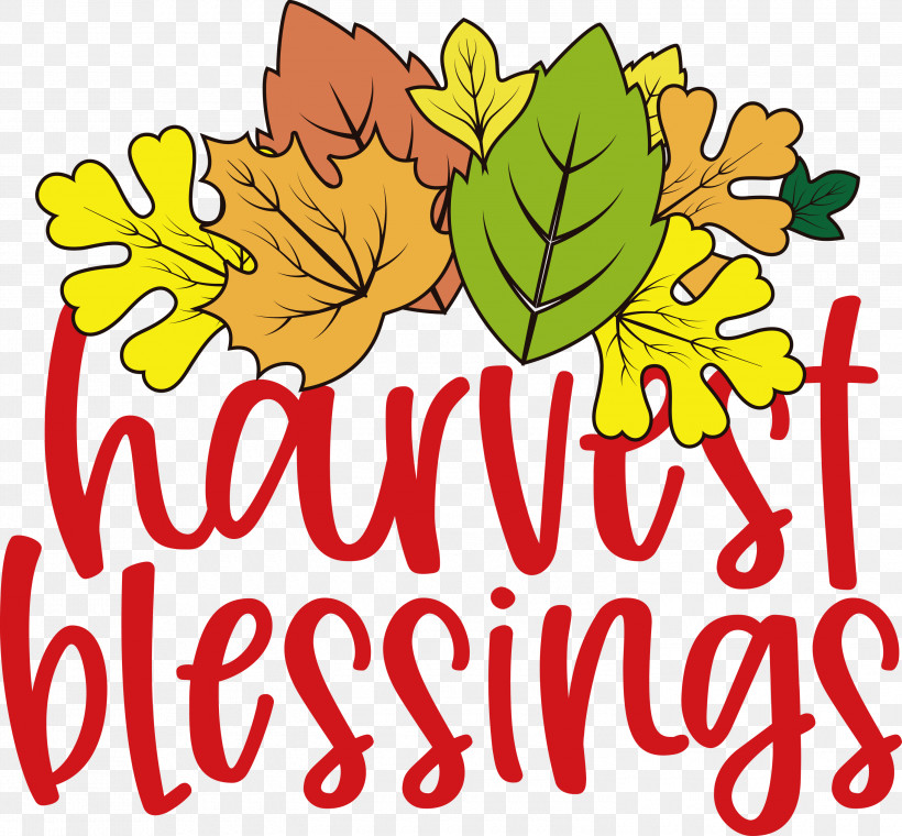 Harvest Autumn Thanksgiving, PNG, 3000x2784px, Harvest, Autumn, Cut Flowers, Floral Design, Flower Download Free