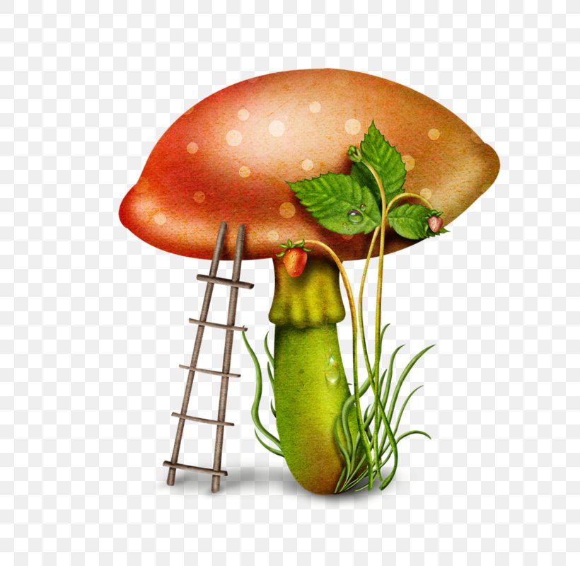 Mushroom Download Clip Art, PNG, 800x800px, Mushroom, Diet Food, Food, Fruit, Fungus Download Free